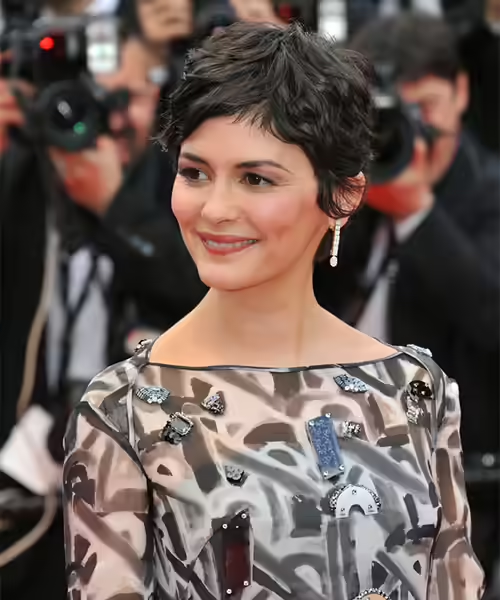Hairstyles For Heart shaped Faces
