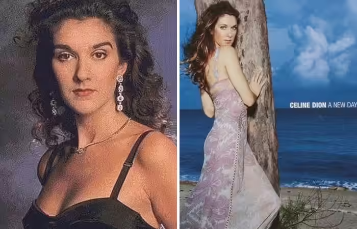 celine dion weight loss